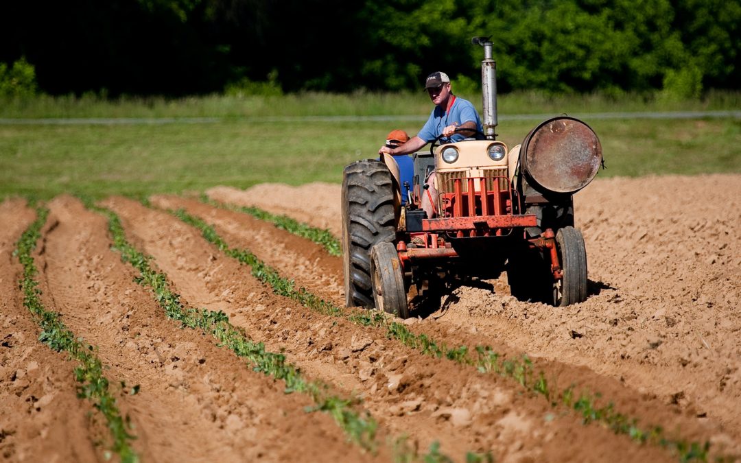 Hearing Loss in Farming