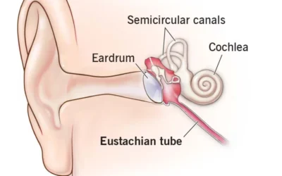 How to Unclog the Eustachian Tube