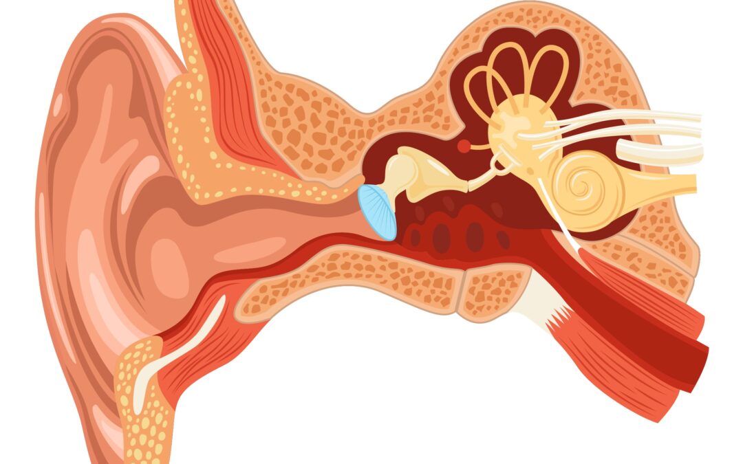 Causes, Symptoms and Treatment of Otosclerosis